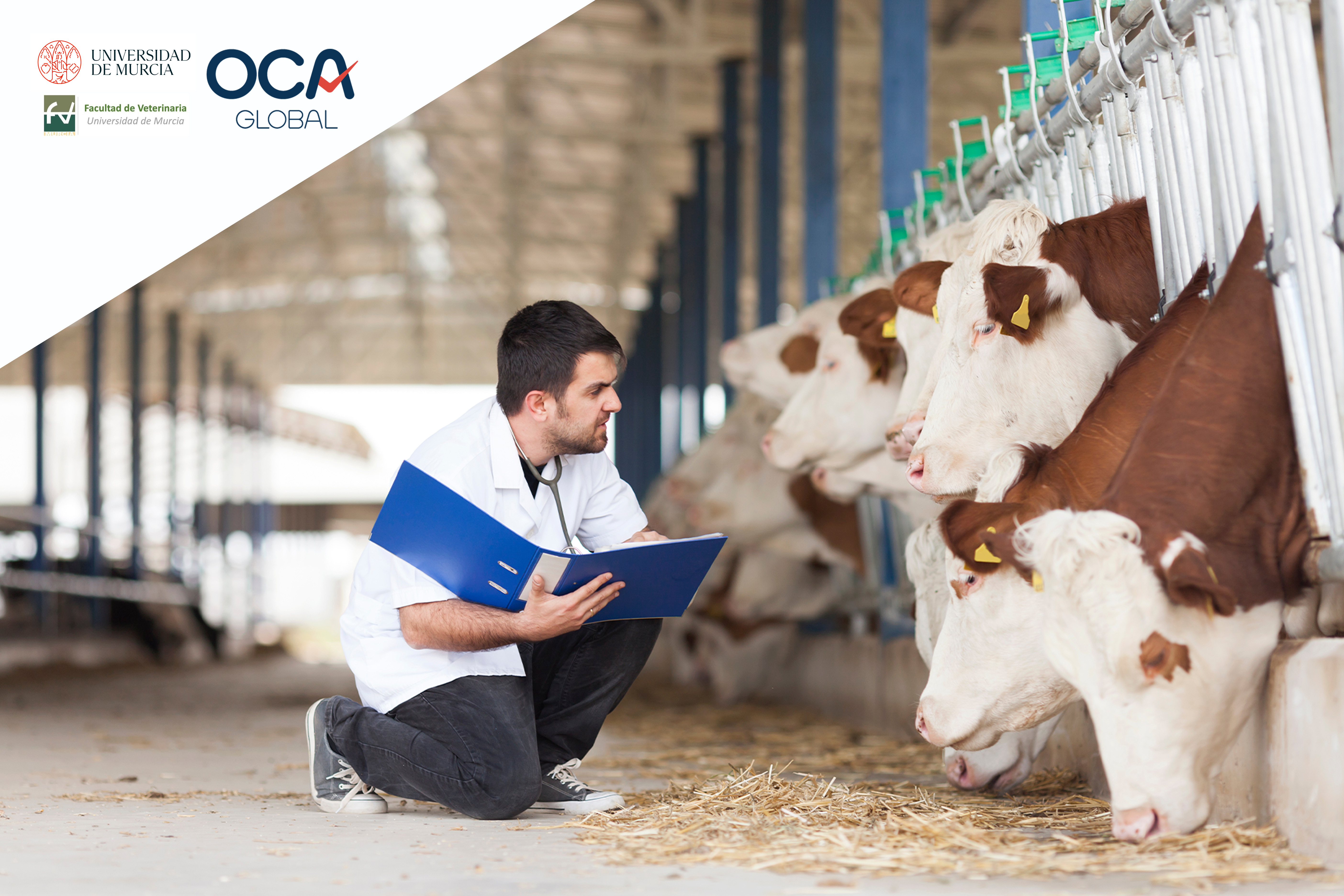 OCA Global acerca la certificación del Bienestar Animal a futuros veterinarios