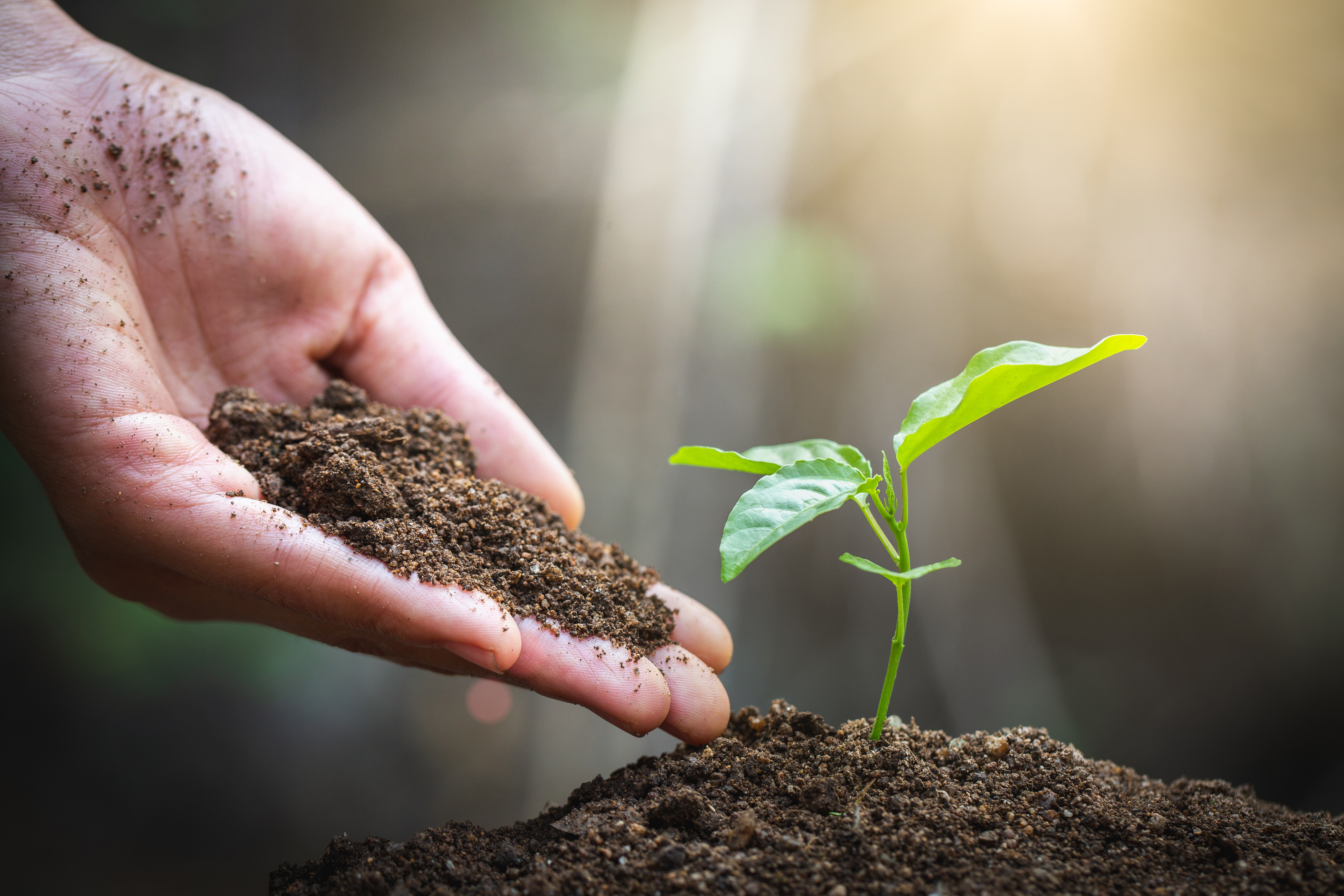 La sostenibilidad: un compromiso necesario para el futuro del planeta